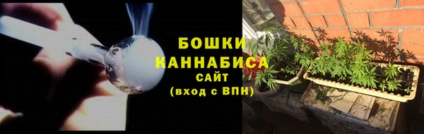 PSILOCYBIN Алексин