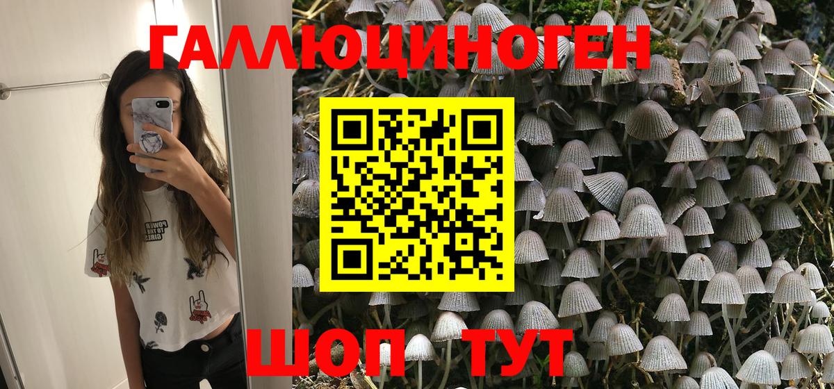 Советский  Псилоцибиновые грибы мицелий  Вход с VPN 